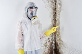 Groton, SD Mold Removal & Remediation Company